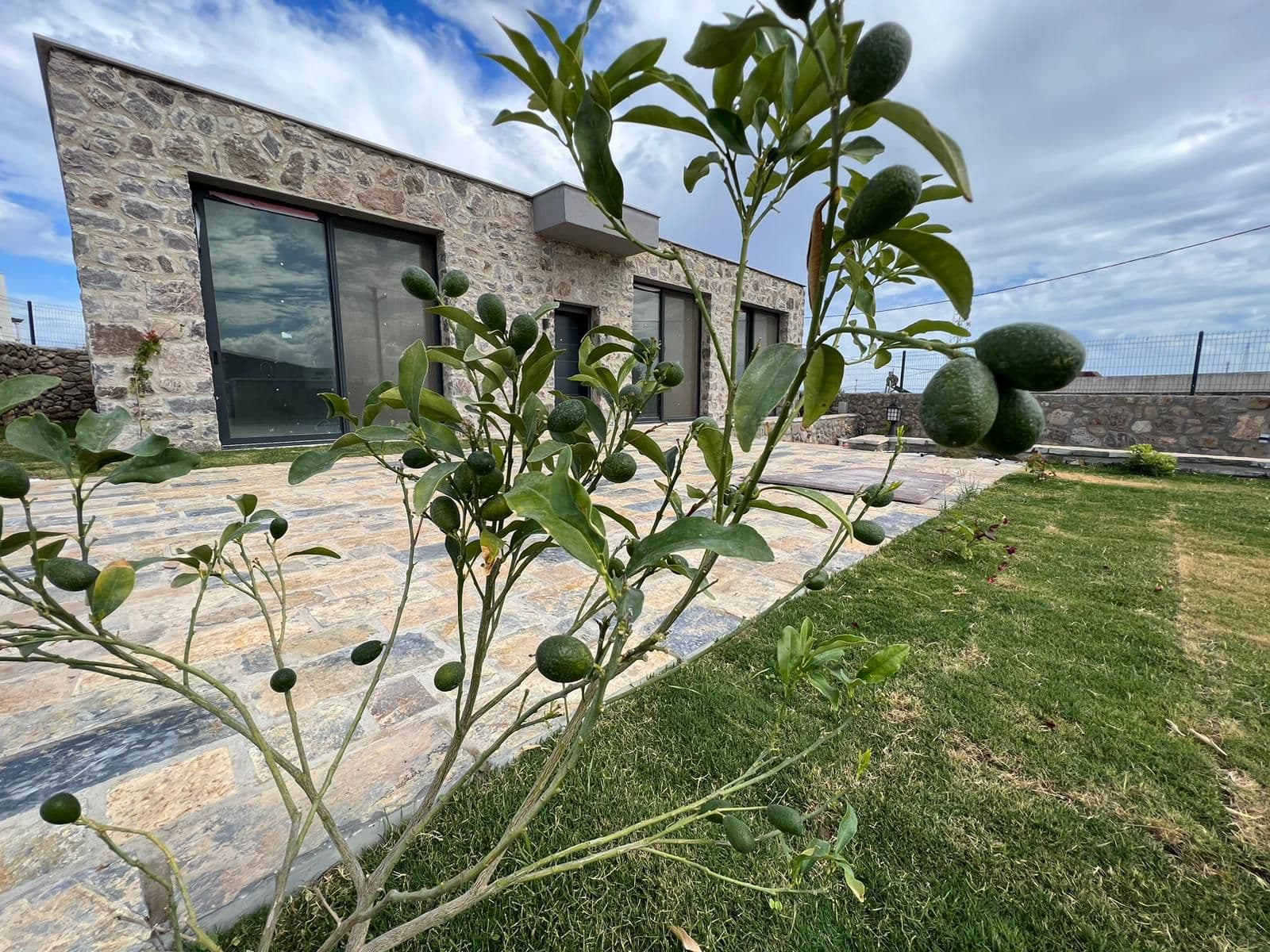 Mandıra Flat · 1
